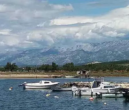 Slavica 格基卡琳